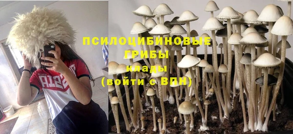 гашиш Абаза