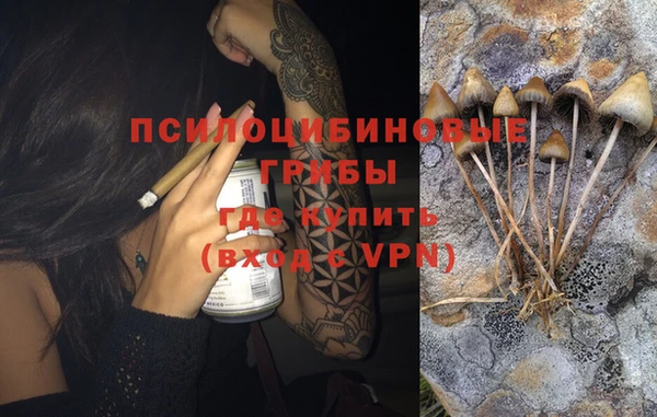 гашиш Абаза